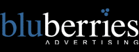 Bluberries Advertising Agency - NJ